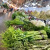 ตลาดบันซ้าน โซนผัก - ตลาดสดบันซ้าน ตลาดสด ภูเก็ต
