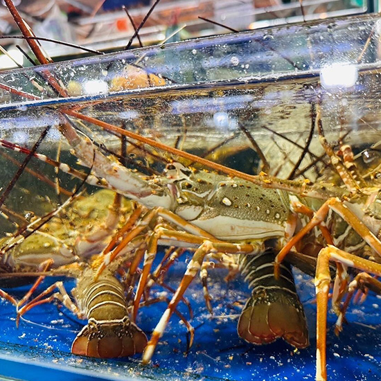 ตลาดสดกุ้งภูเก็ต